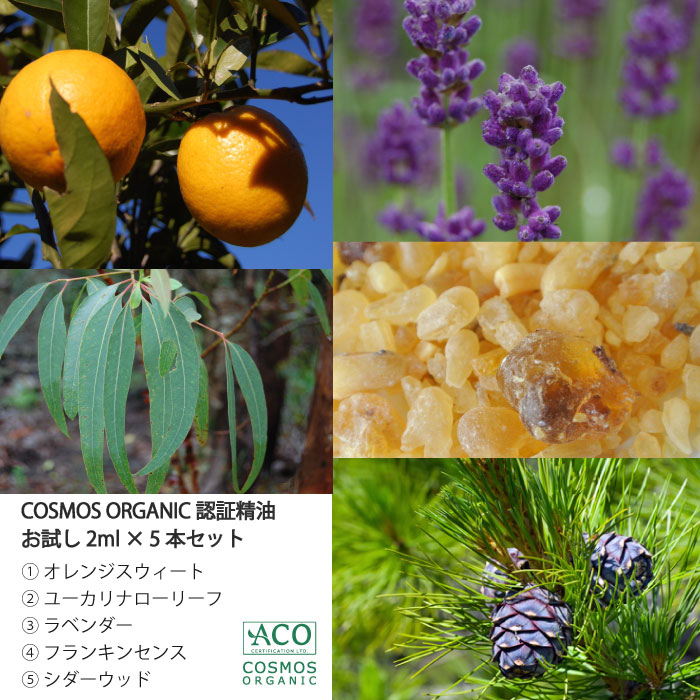 ARTQ ORGANICS オーガニック精油 ５本セット