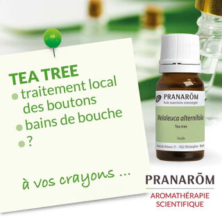 プラナロム オーガニック 精油 ティートリー