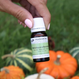 プラナロム オーガニック 精油 ティートリー