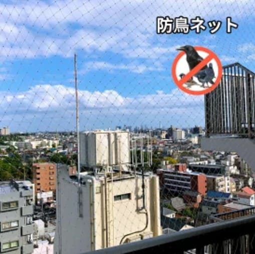 ONESORAの防鳥ネットの画像