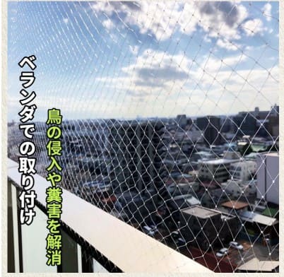 ONESORAの防鳥ネットの画像