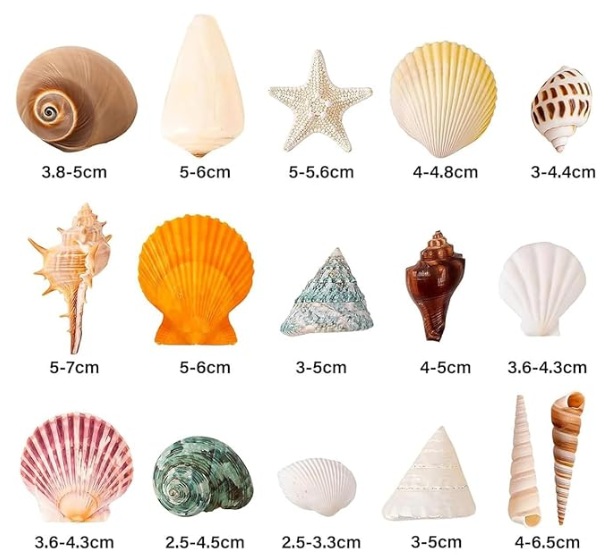 サムコス 天然ヤドカリの殻 100g 自然素材 貝殻セット の画像