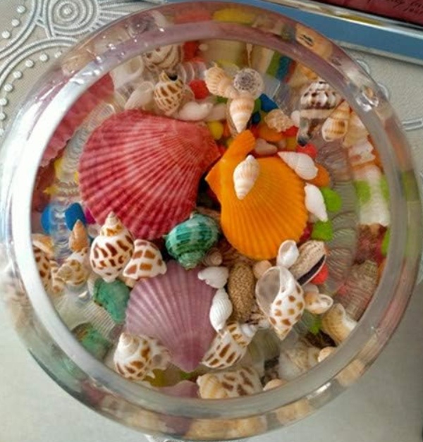 
カラフル 貝殻 アソート セット 天然素材 ミックス ビーチ シェルの画像
