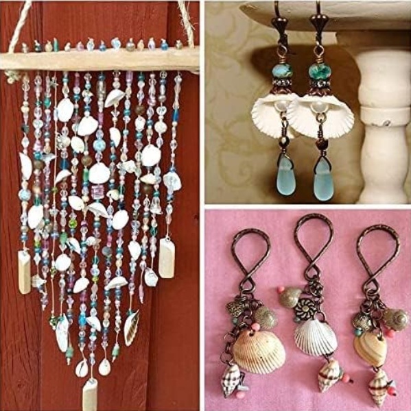 ビーチ シェル 貝殻 セットマリン ビーチ小物 DIY用 ジュエリー アクセサリーパーツ 手芸用品の画像